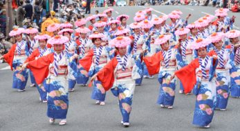 ゴールデンウィークを楽しみ尽くせ！日本最大級のお祭り、博多どんたくの魅力を徹底解説！