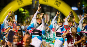 2018年 東京の阿波おどりのおすすめは？徳島に負けじと盛り上がる阿波おどりを４つご紹介