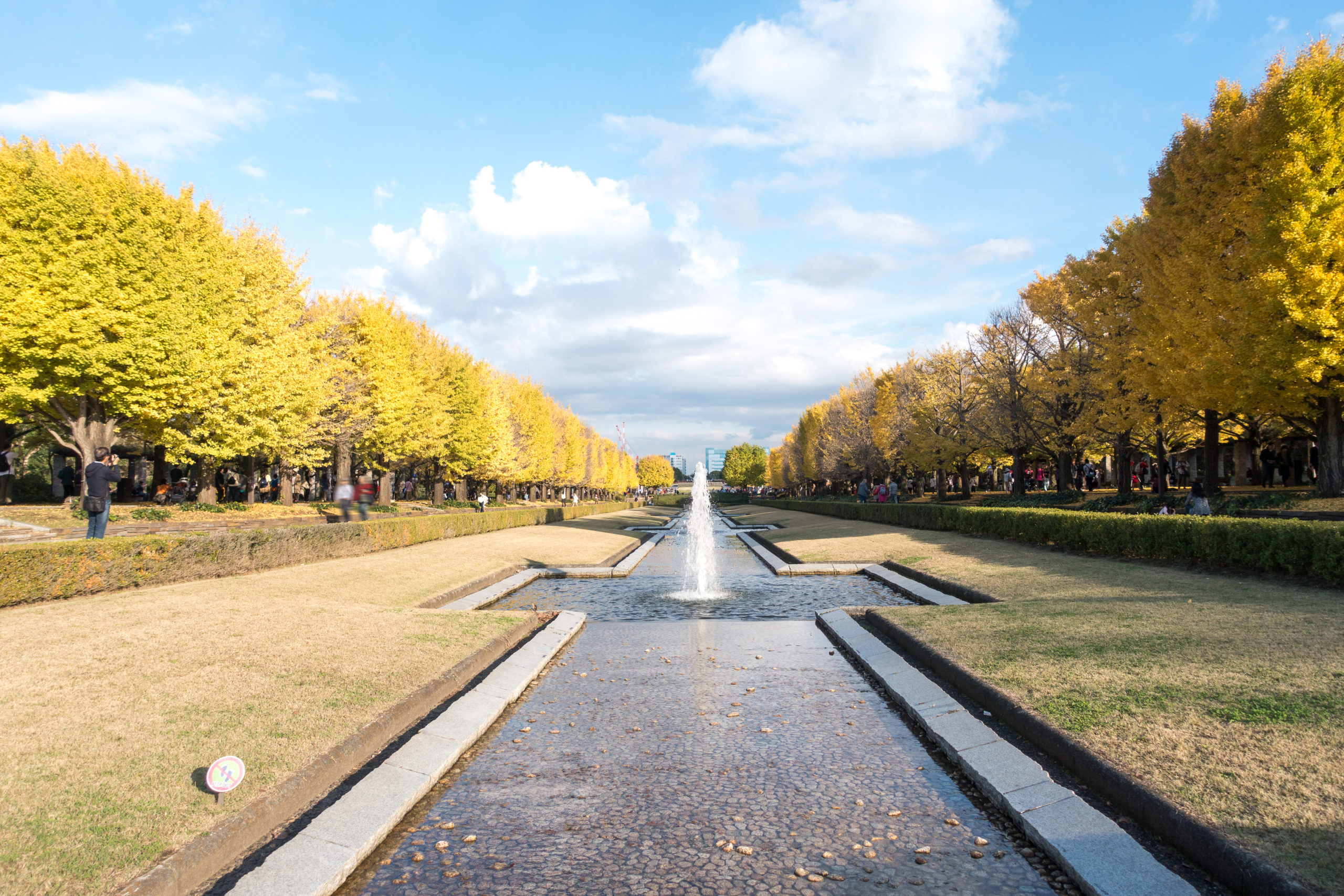 いちょうまつり4選。紅葉に深まる秋を感じるオススメのイベントをご紹介。