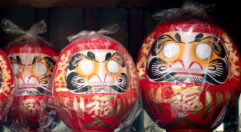 1月のだるま市をご紹介 〜七つ転ぶとも八つ起きるだるまで福を呼びましょう〜