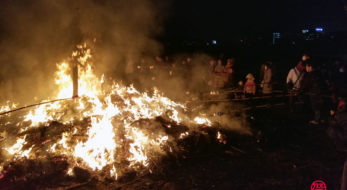 取手地域に伝わる「あわんとり？」とりで利根川どんどまつりをレポート！