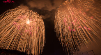 雪花火を楽しめる冬のお祭り4選 〜 冬花火最大級の三尺玉と光の花畑もご紹介