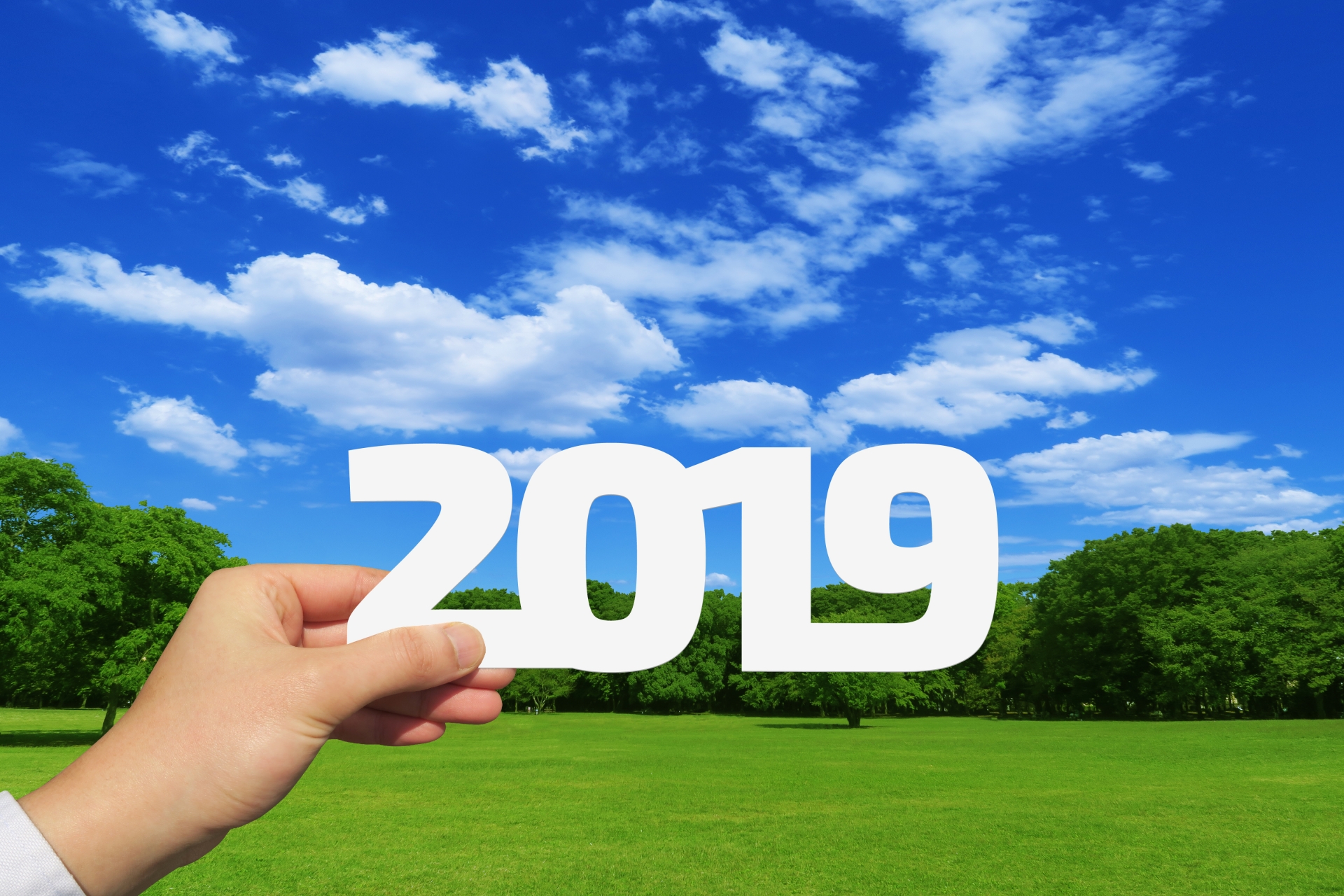 オマツリジャパンのライターに聞きました 2019年はじめてやってみたいこと、行きたいお祭りは？