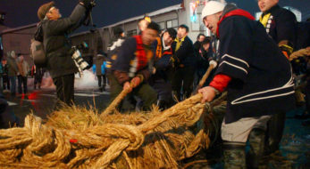 75尋（136m）の綱を市民総出で引き合う！大曲の綱引きレポート