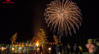 宮城県、最大規模の冬花火！平成最後の「石越どんと祭冬の花火大会」をレポート。