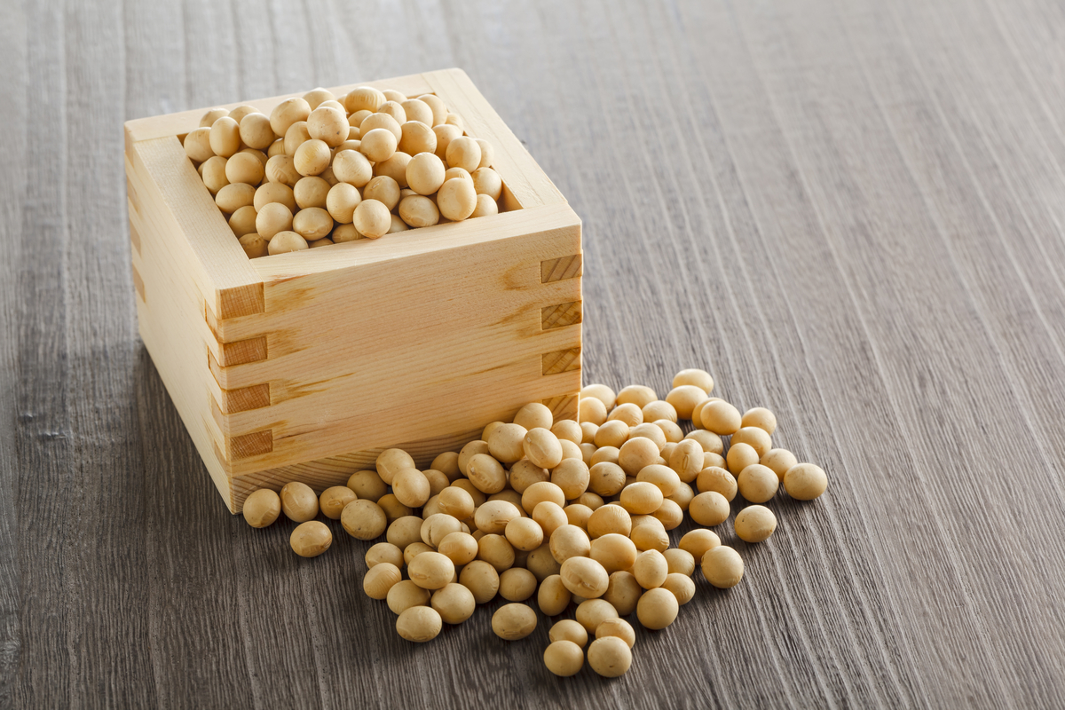 池上本門寺の節分豆まき！力道山の墓があり、2019年もプロレスラー多数登場【SNSまとめ】