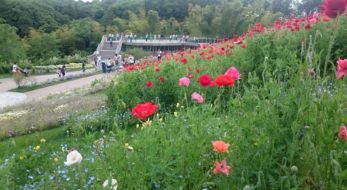 「里山ガーデンフェスタ」は色とりどりの花が楽しめる♪2020年春の見どころは？