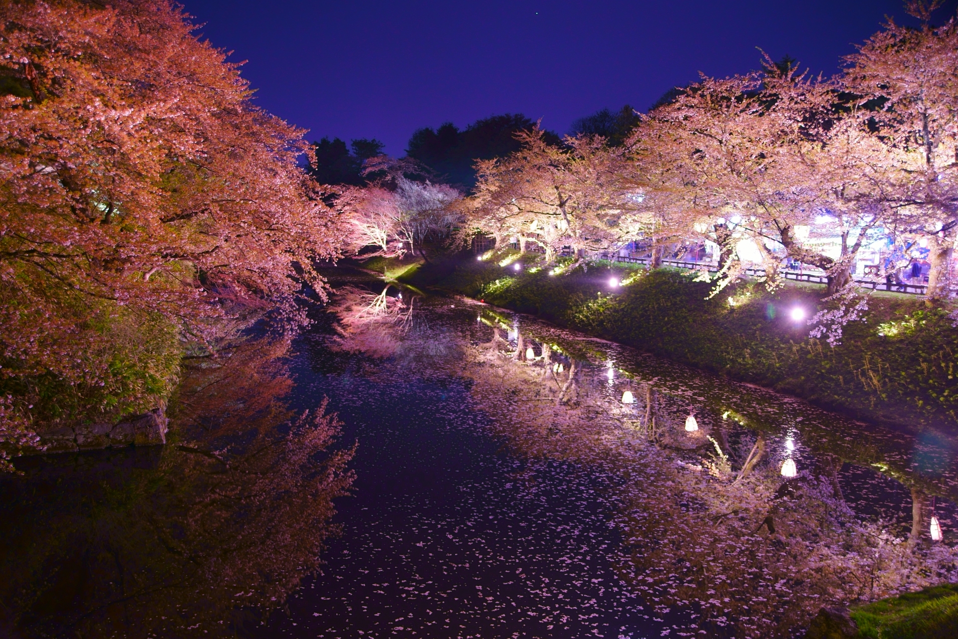 弘前さくらまつりの見どころとは？楽しみは桜だけじゃない？2023年はどうなる？