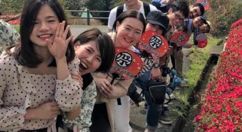 笠間つつじまつりは外国人や若者にどう見えた？【今年のつつじ満開はゴールデンウィークから】