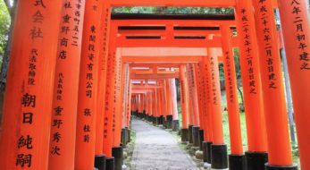 稲荷祭とは？今更聞けない伏見稲荷のアレコレについて解説！