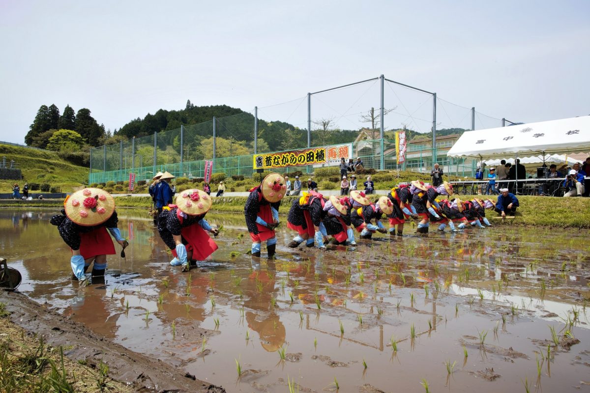笑ってはいけないシリーズ！？布施神社・お田植祭ではお殿様が笑うと凶作に！