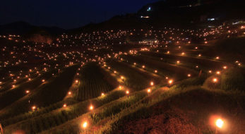 日本の伝統行事「虫送り」とは？虫送りが開催される各名所をご紹介