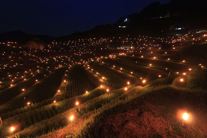 日本の伝統行事「虫送り」とは？虫送りが開催される各名所をご紹介