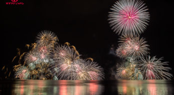 松江水郷祭をご紹介！西日本最大級の湖上花火の魅力とは？