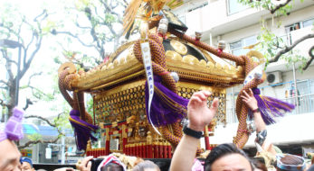 2023年は「かげまつり」！東向島白鬚神社例大祭！下町を巡る神輿山車！