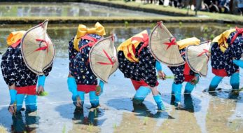 お田植え祭をレポート！！大空と田園の中で♪