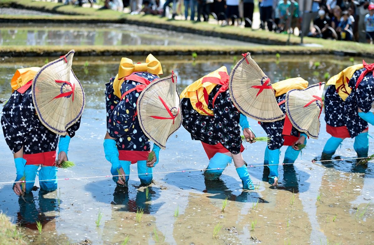 お田植え祭をレポート！！大空と田園の中で♪