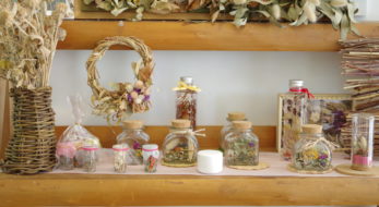 松田町ハーブフェスティバル2019！ハーブ体験の様子と開花状況をお届け！