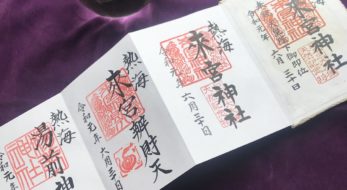 熱海の來宮神社。本州一位の巨樹、樹齢2000年を超える大楠に出会える強力なパワスポ。こがし祭り情報も。