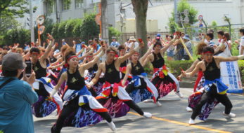 埼玉はよさこいも激アツなの！？2023年の朝霞市民まつり「彩夏祭」の「関八州よさこいフェスタ」に行こう！