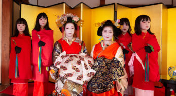 【高台寺 北政所茶会】舞妓さんより稀少！嶋原太夫のお点前と太夫道中