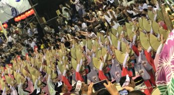 2023年「徳島阿波おどり」は8月12日から！初日から徳島市はダンス天国になるぞ！