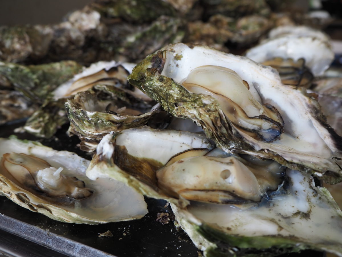 盛岡さんさ踊り！会場ではどんなグルメが楽しめる？2019年レポート！