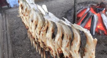 自然とお祭りの宝庫！夏の常陸大宮の魅力は見所がたくさん！