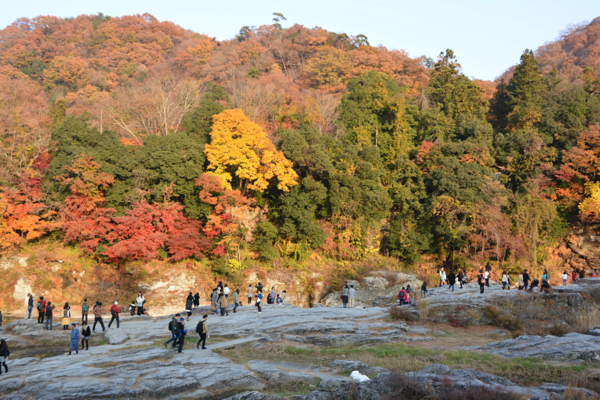 「長瀞紅葉まつり」、荒川沿いから宝登山の頂まで広がる秋のグラデーション