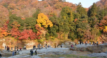 「長瀞紅葉まつり」、荒川沿いから宝登山の頂まで広がる秋のグラデーション
