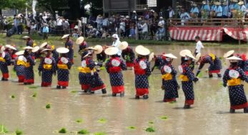 4年ぶりの通常開催！宮崎県美郷町の「御田祭」！早乙女体験レポートと2023年開催情報！