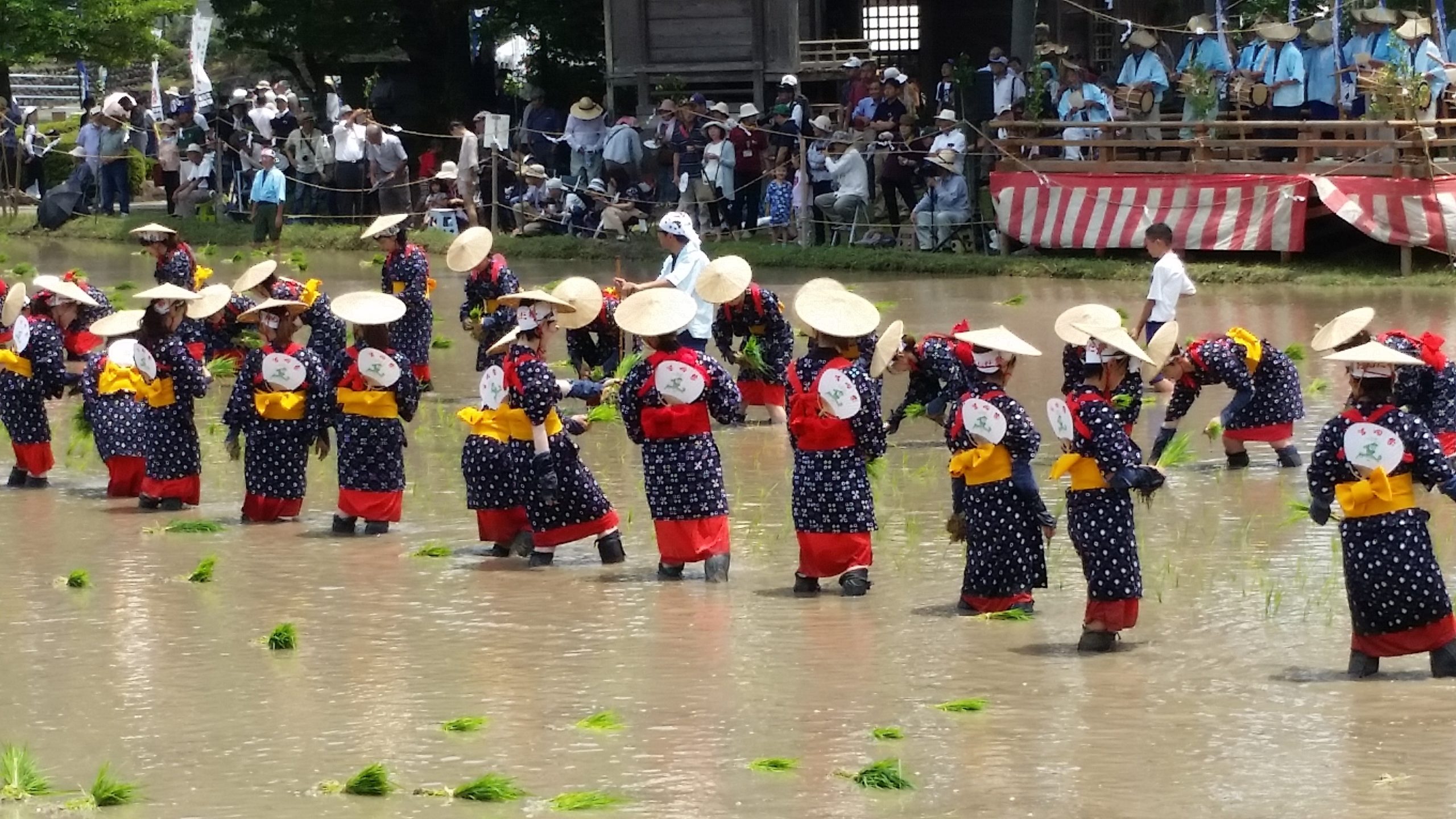 4年ぶりの通常開催！宮崎県美郷町の「御田祭」！早乙女体験レポートと2023年開催情報！