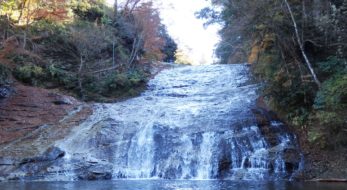 「養老渓谷もみじまつり」で、関東地方から過行く秋を惜しむ