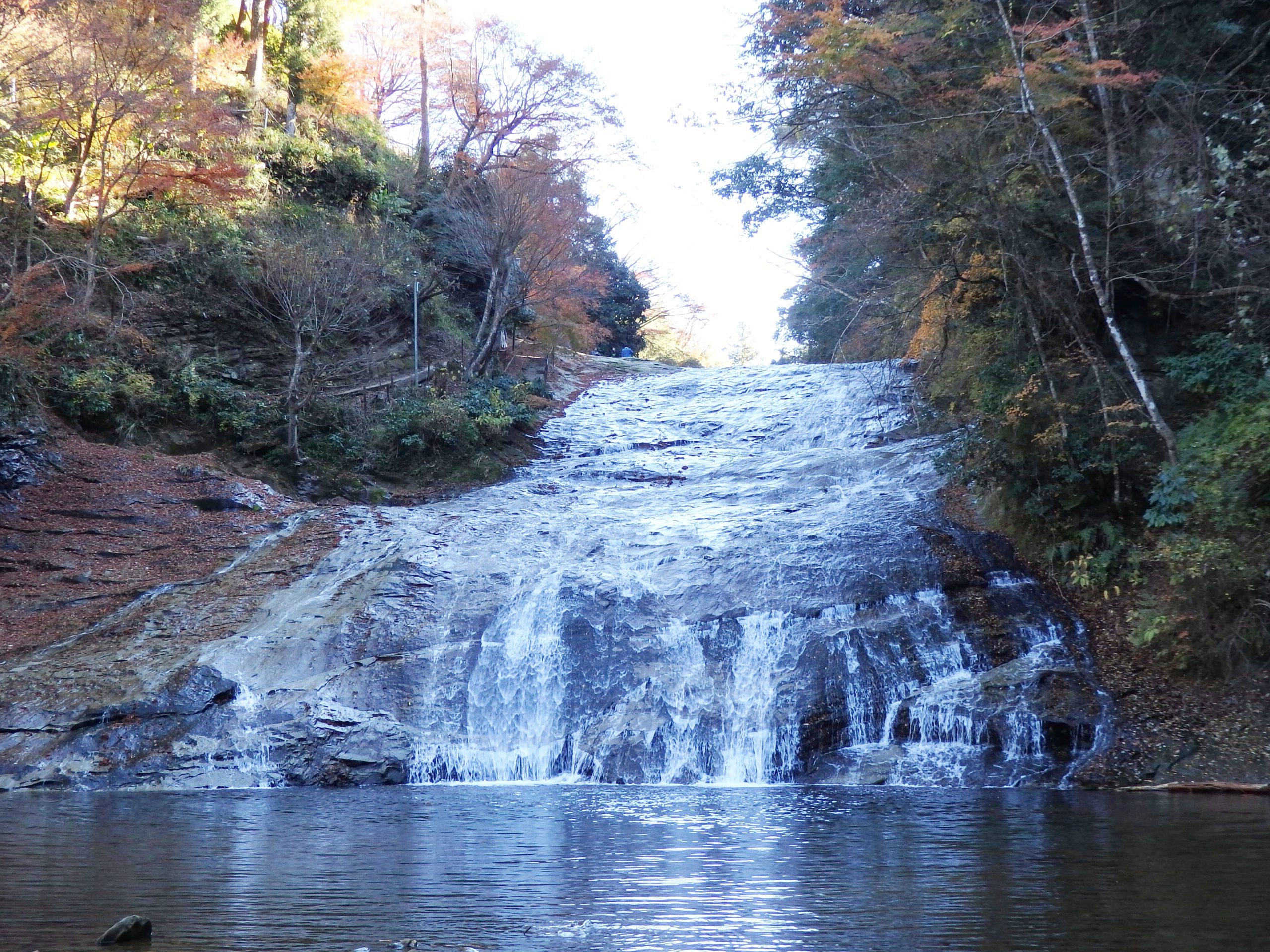 「養老渓谷もみじまつり」で、関東地方から過行く秋を惜しむ