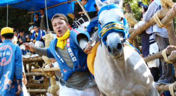 高浜おまんと祭りの迫力を見たか？馬が走る走る、吹っ飛ばされる。愛知の奇祭を紹介！