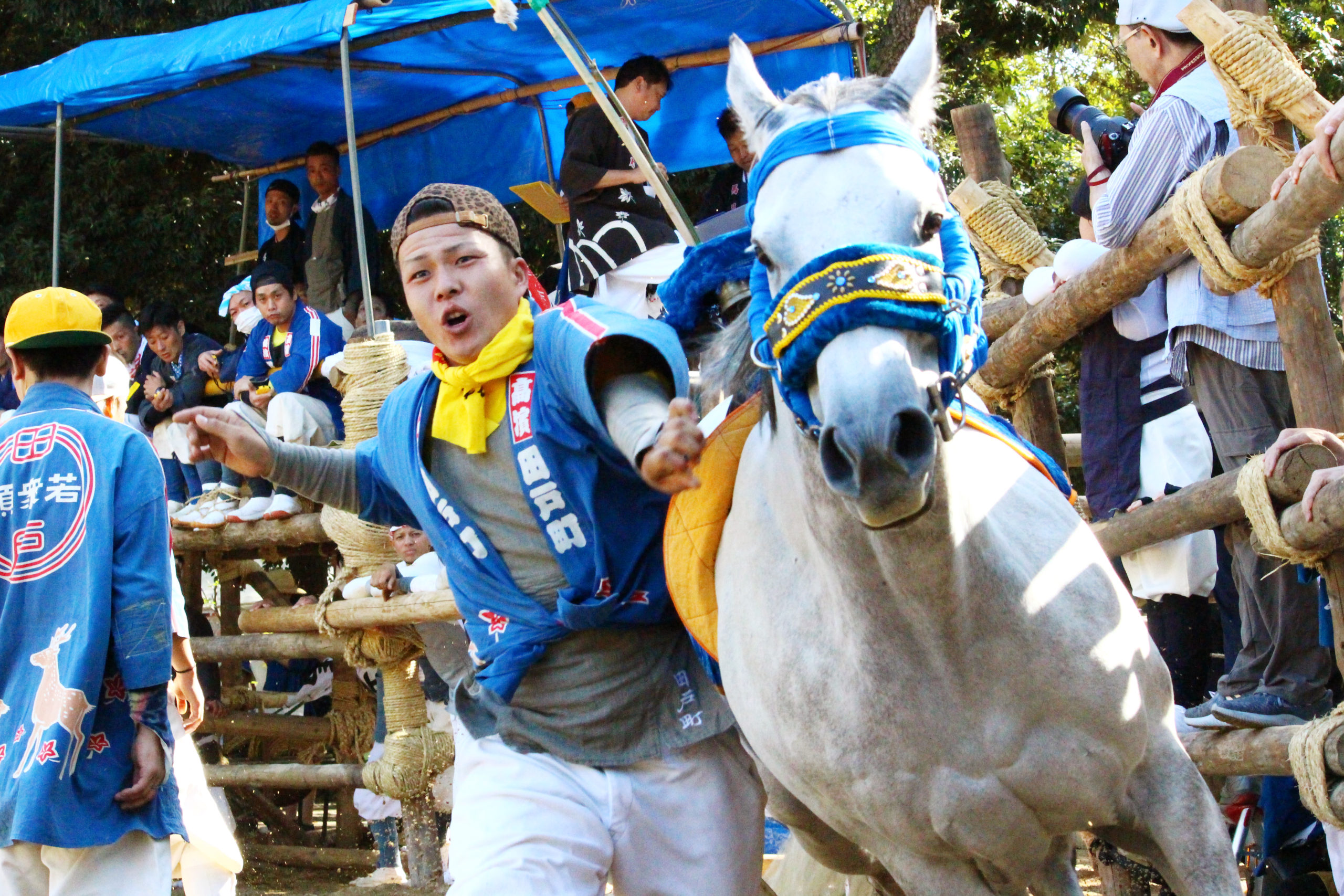 高浜おまんと祭りの迫力を見たか？馬が走る走る、吹っ飛ばされる。愛知の奇祭を紹介！