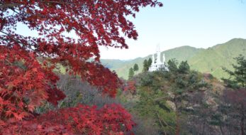 「なぐり紅葉まつり」、白雲山鳥居観音の山肌を縫う遊歩道をハイキングしながら紅葉狩り