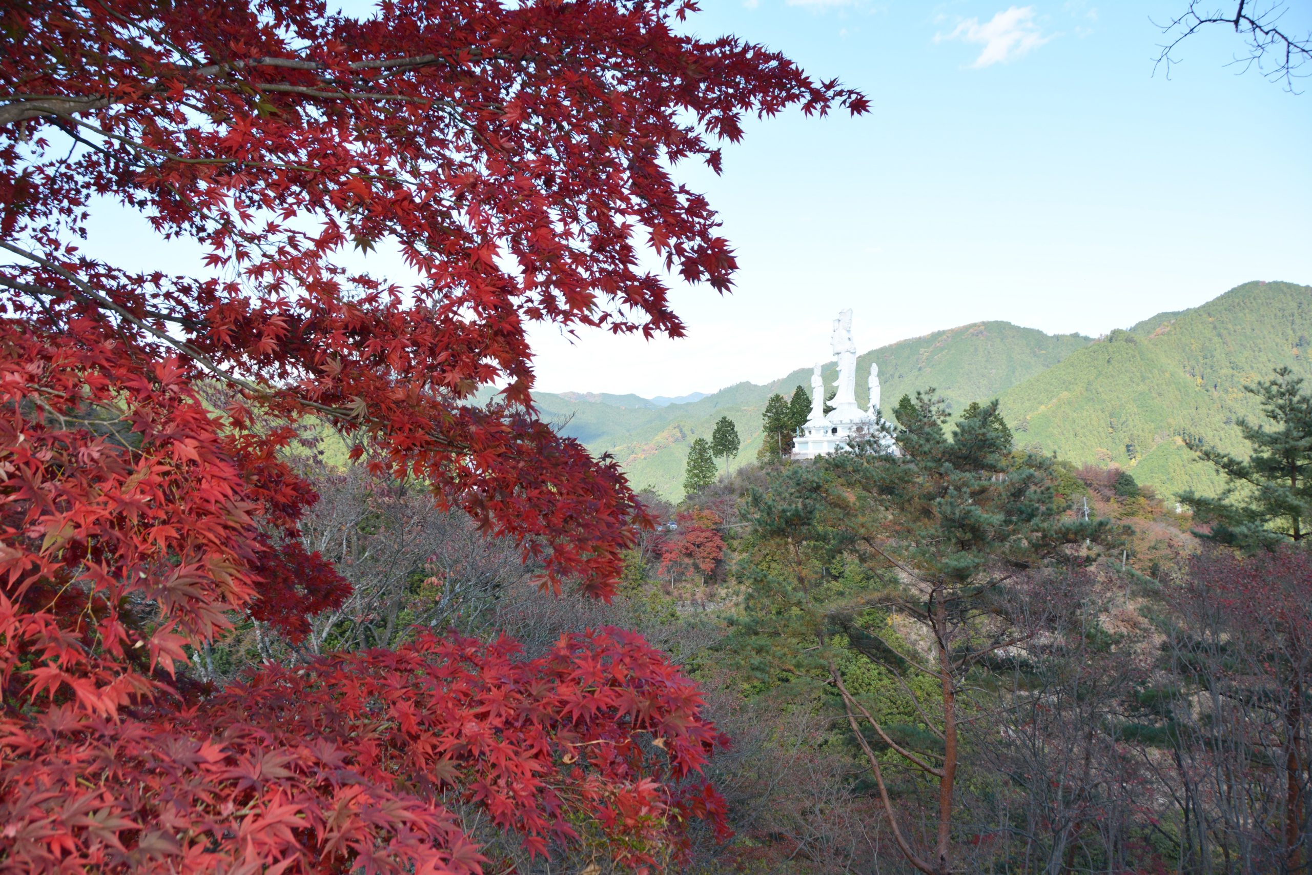 「なぐり紅葉まつり」、白雲山鳥居観音の山肌を縫う遊歩道をハイキングしながら紅葉狩り
