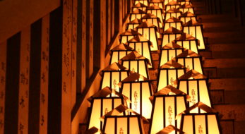 2023年も静岡・尊永寺「万灯祭」は幻想的！ステージショーにほおずき市と寄席で楽しむ「四万六千日」！