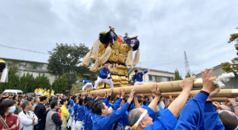 新田太鼓台をご紹介！楠木正成との関係は？即位礼正殿の儀新居浜祝賀行事情報も！