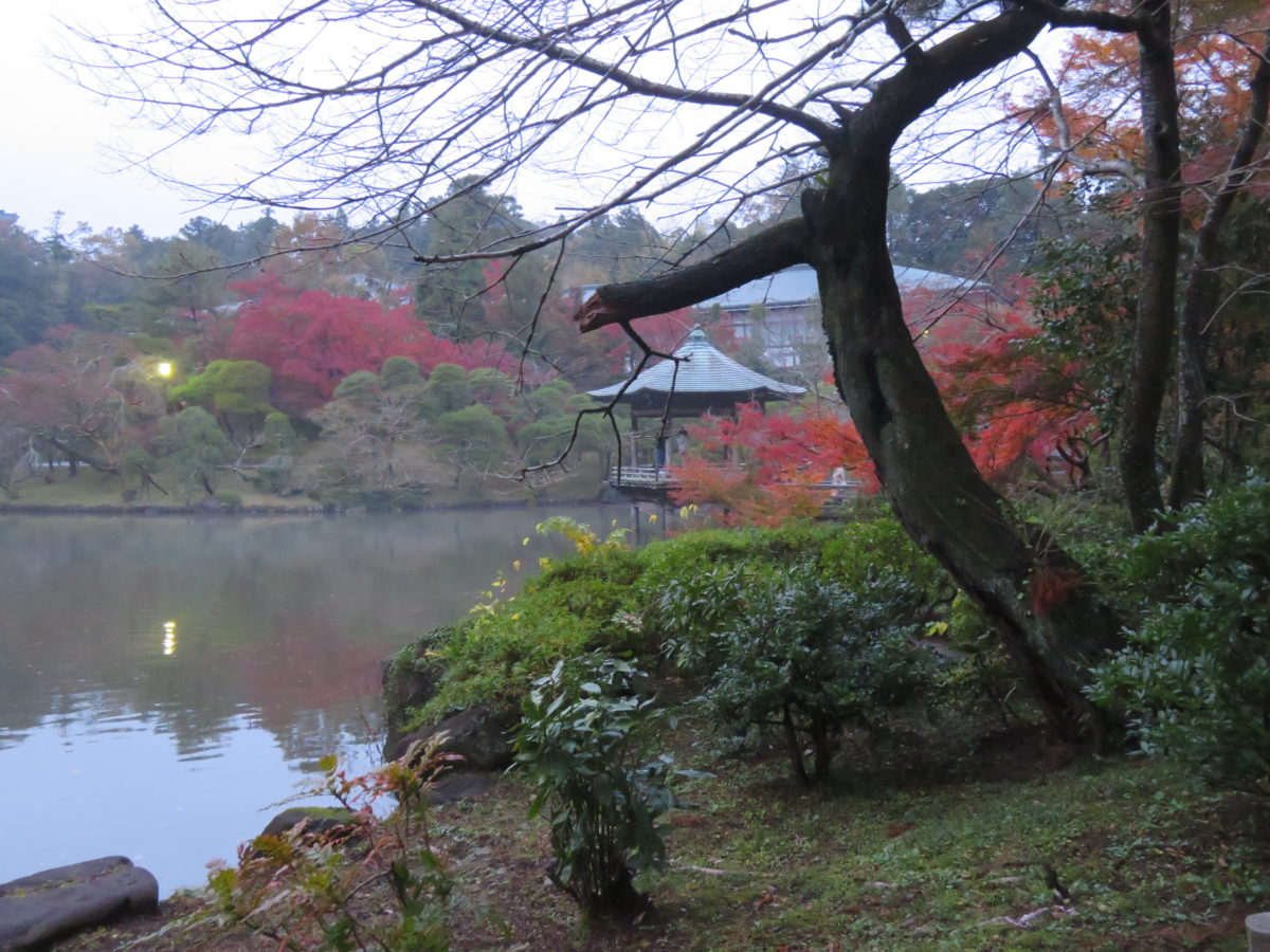 「成田山公園紅葉まつり」、庭園中央の3つの池を彩る紅葉を鑑賞した後に味わう成田名物のうなぎ