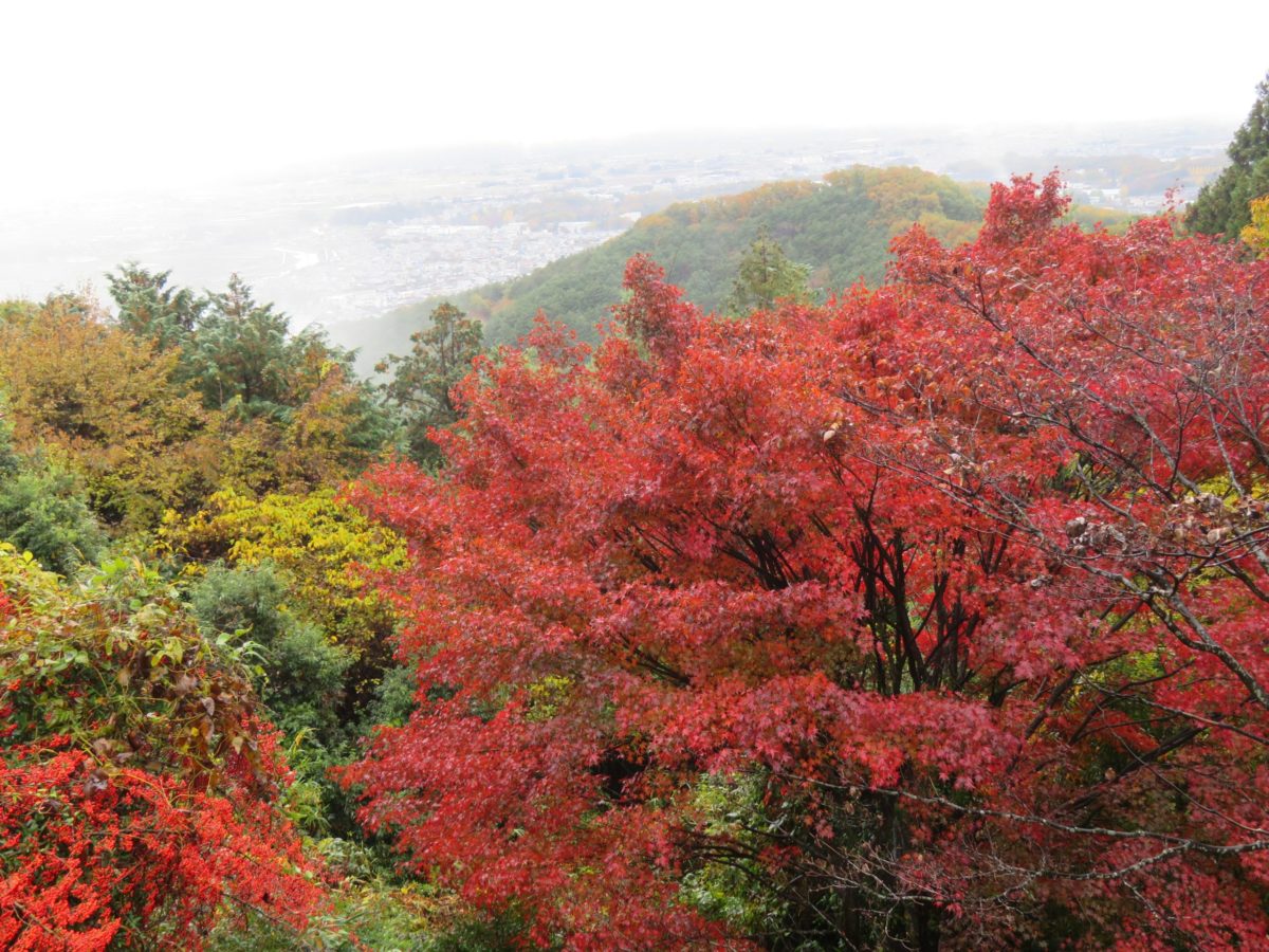 「太平山もみじまつり」、天候や時間とともに変化する眺望を背景に楽しむ紅葉