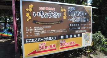 神宮外苑いちょう祭りを楽しむ！グルメは？紅葉はどんな感じ？