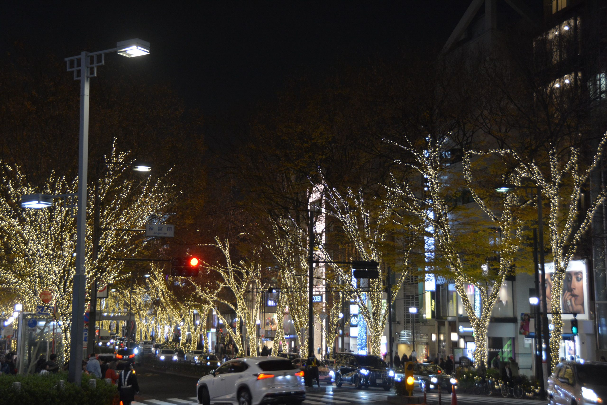 「表参道マジックイルミネーション」約1.1キロのケヤキ並木に降り注ぐシャンパンゴールドの優しく温かな光