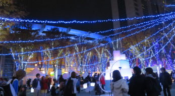 「たまアリ△タウンけやきひろばイルミネーション」約150本のけやきの木が光り輝く「さいたま新都心」