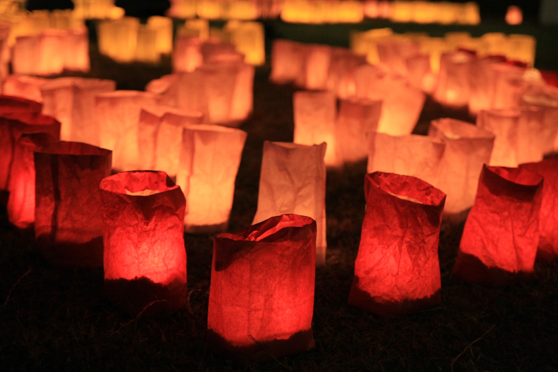 幻想的な和の世界を味わえるイルミネーションをご紹介！