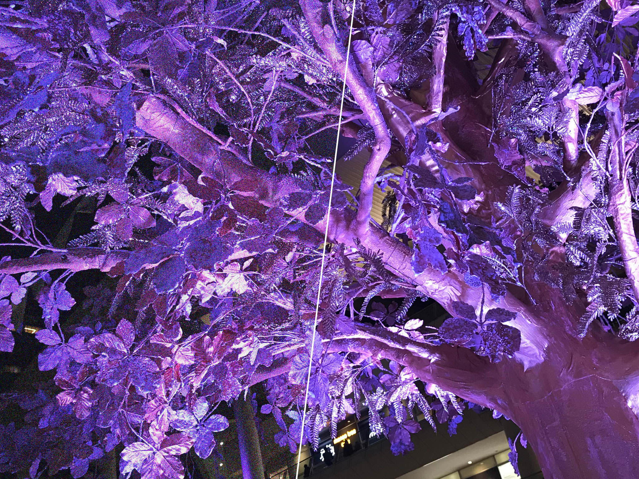 【目指せフォトコン★】 スマホ用写真編集アプリを入れて，ワンステップ上の冬の夜景を！