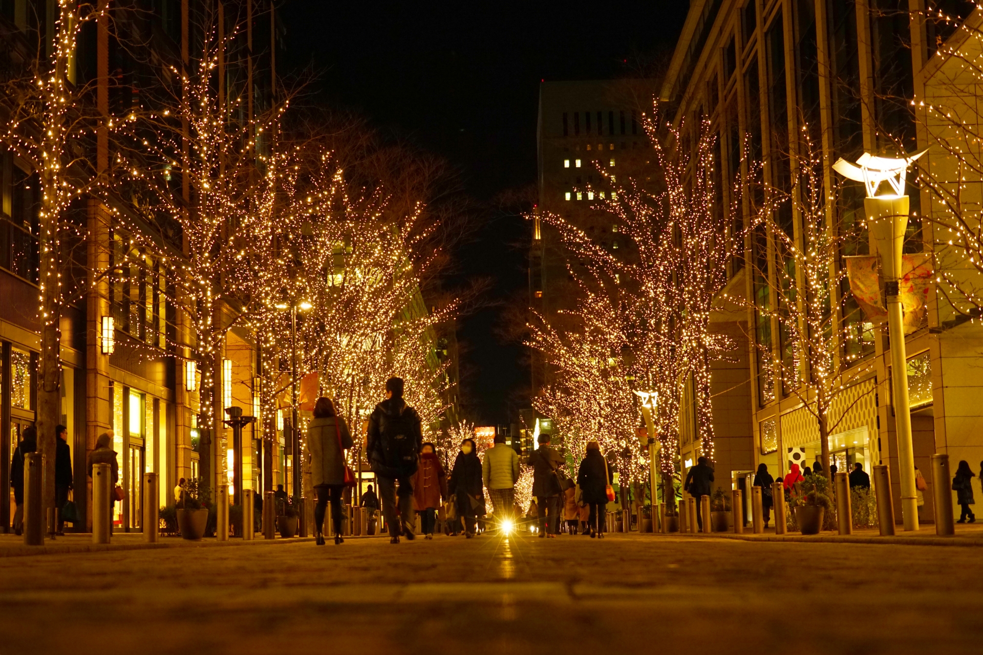東京のイルミネーション5選！この冬訪れたいのはココ！