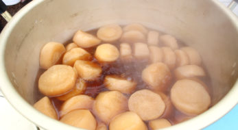 大根まつり2選！お江戸の年末年始は待乳山聖天、最勝山上妙寺でご利益をもらおう！