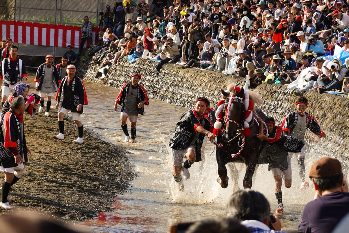 【八代妙見祭】僕たちの祭りのカタチ。次の世代のためにできること。